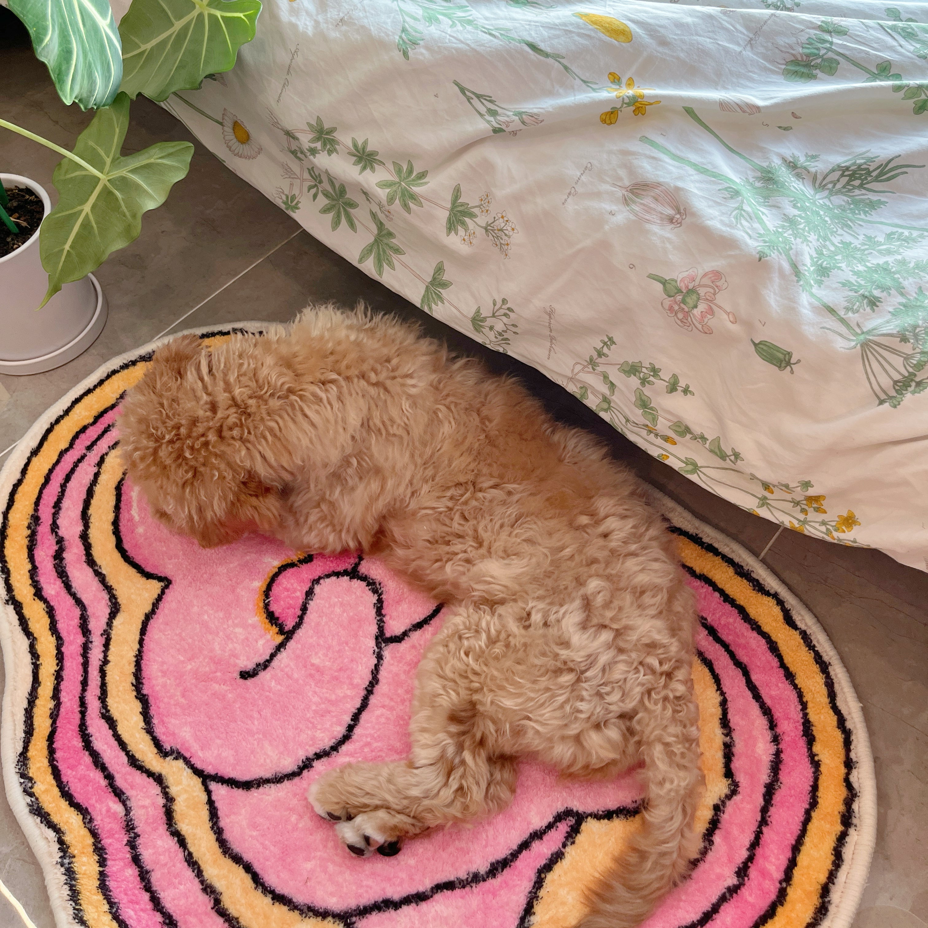 Good Energy Rug